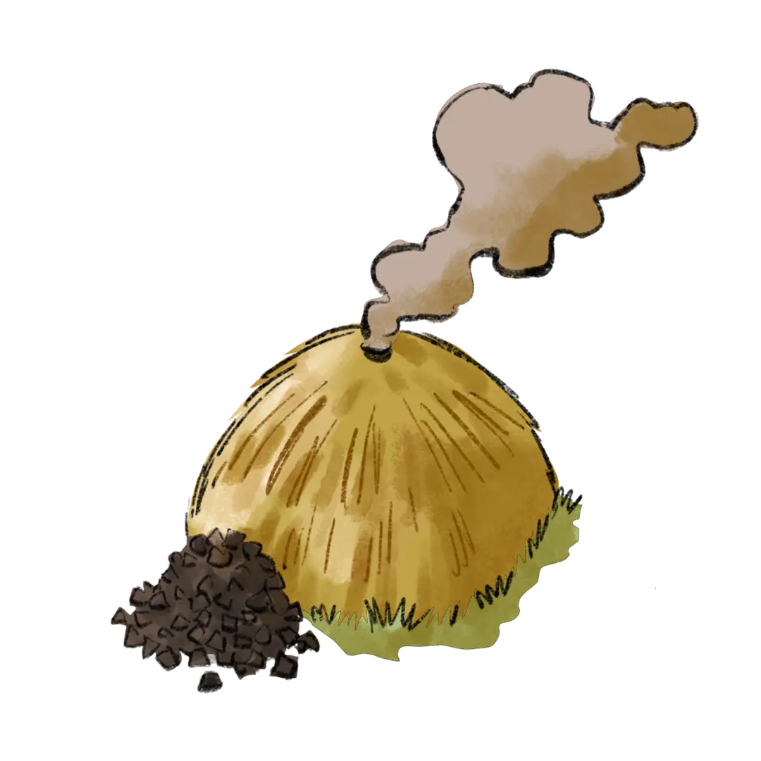 Carbonaia