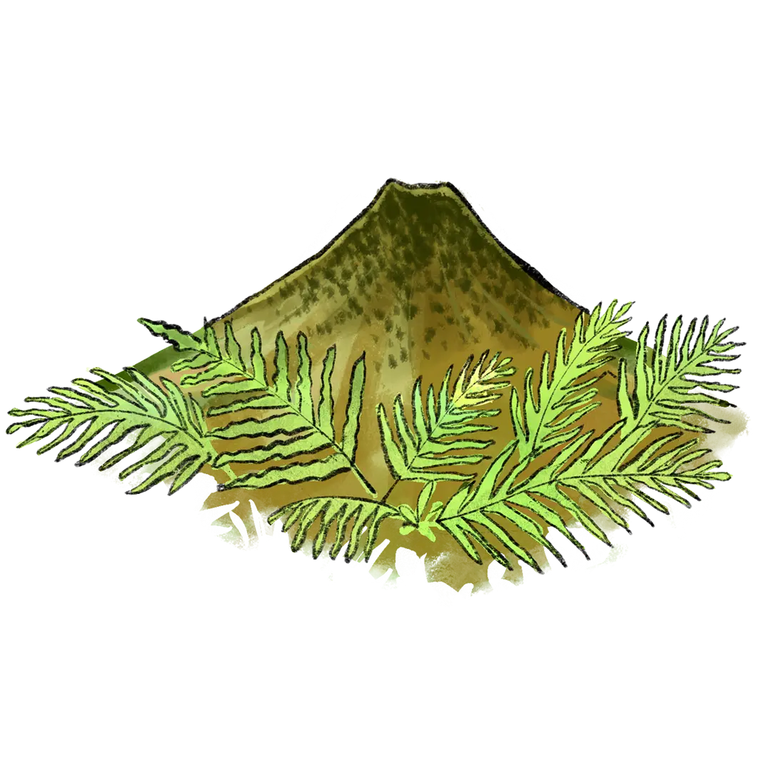 Riserva